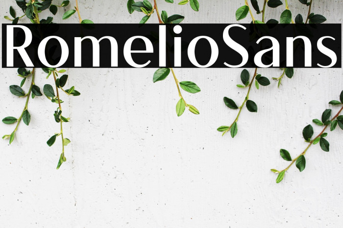 RomelioSans Example 1