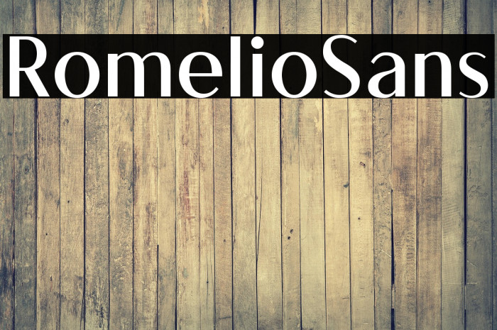 RomelioSans Example 2