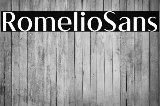 RomelioSans Font examples
