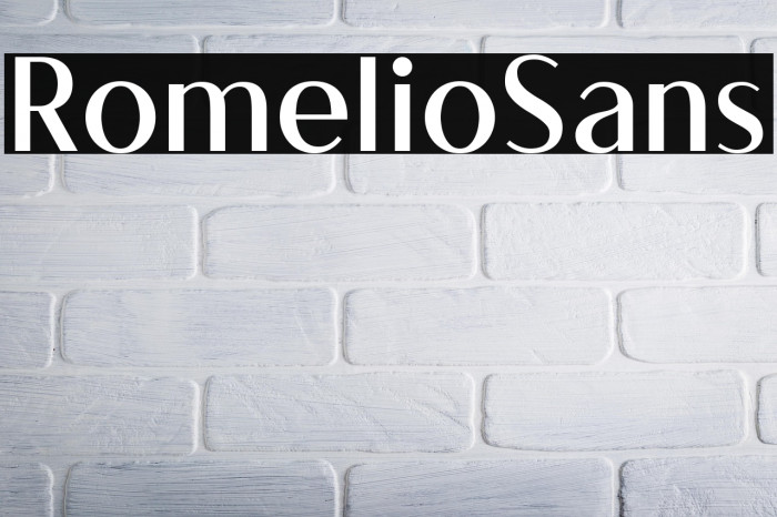 RomelioSans Example 3