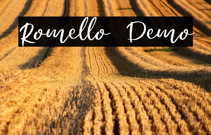 Romello Demo Example 1