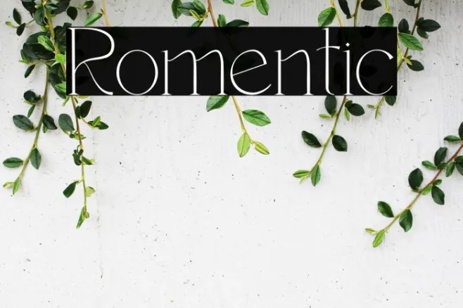 Romentic Example 3