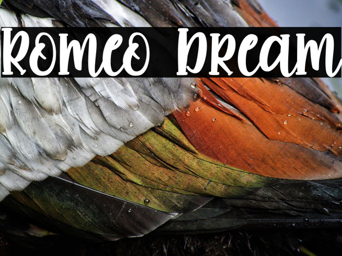 Romeo Dream Example 1