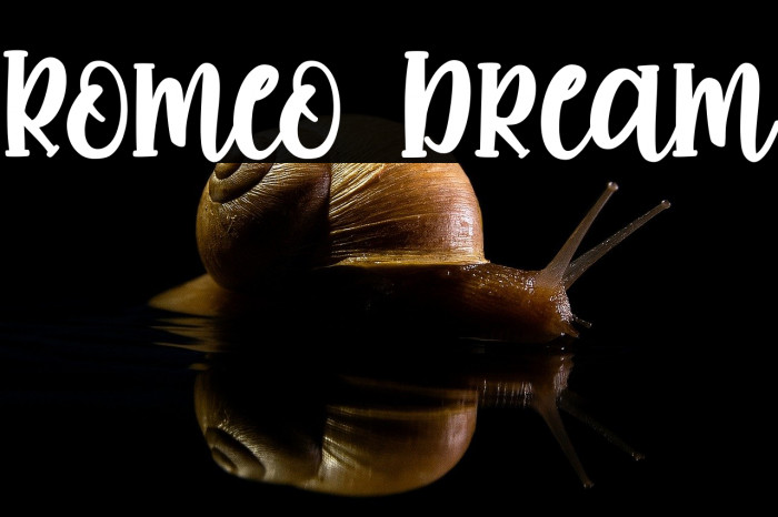 Romeo Dream Example 3
