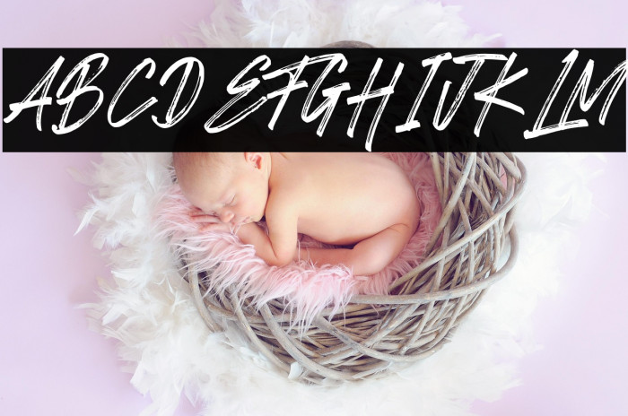 Romeo Fans Example 1