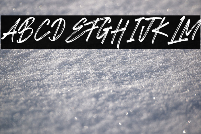 Romeo Fans Example 2