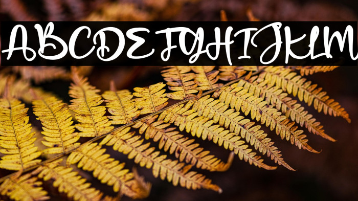 Romeo Juliet - Personal Use Example 2