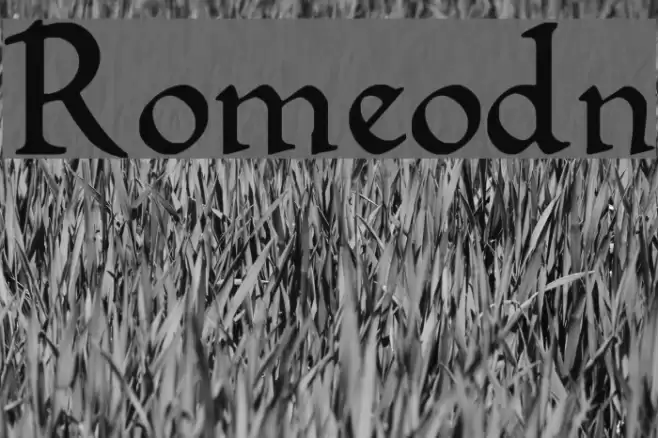 Romeodn Font examples