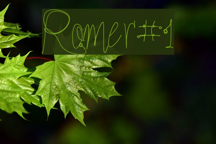 Romer#1 Font examples