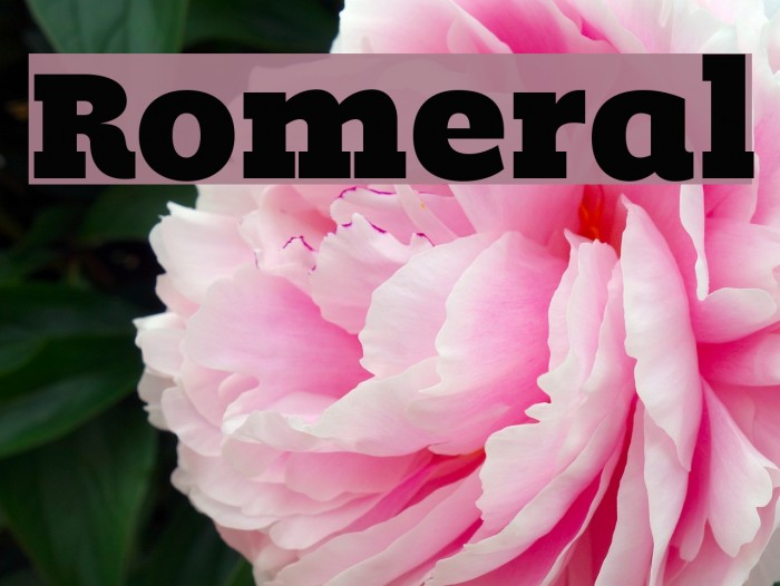 Romeral Font examples