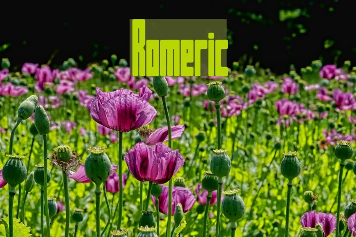 Romeric Font examples
