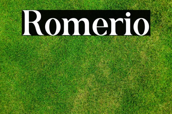 Romerio Example 1