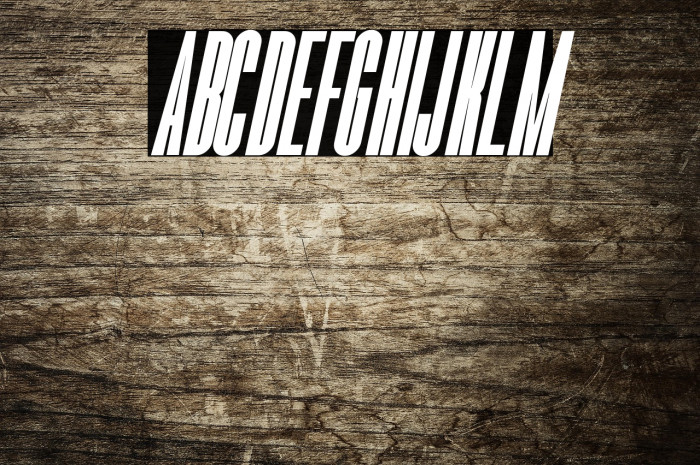 Romestone Italic Example 3