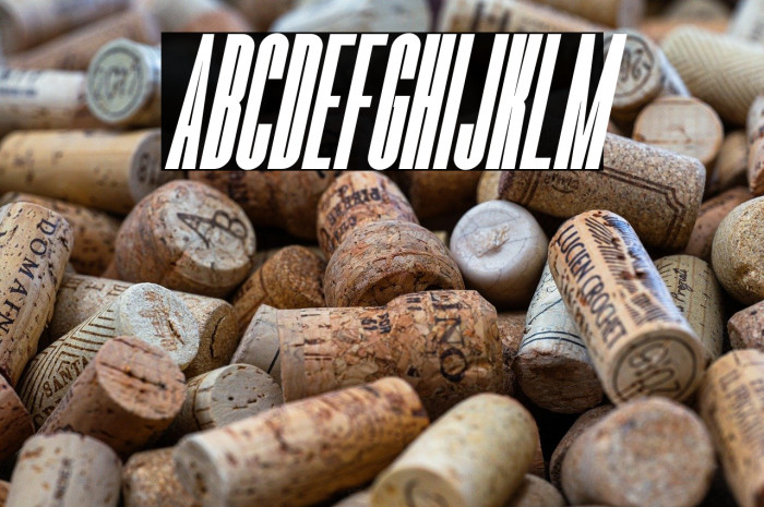 Romestone Italic Example 1