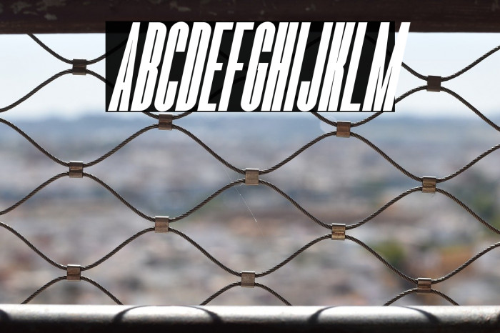 Romestone Italic Example 2