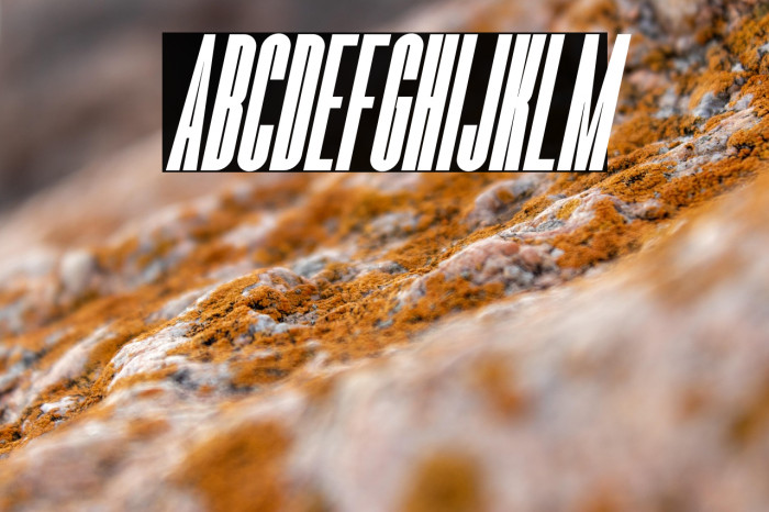 Romestone Italic Example 3