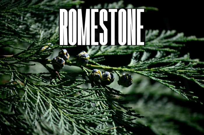 Romestone Example 1