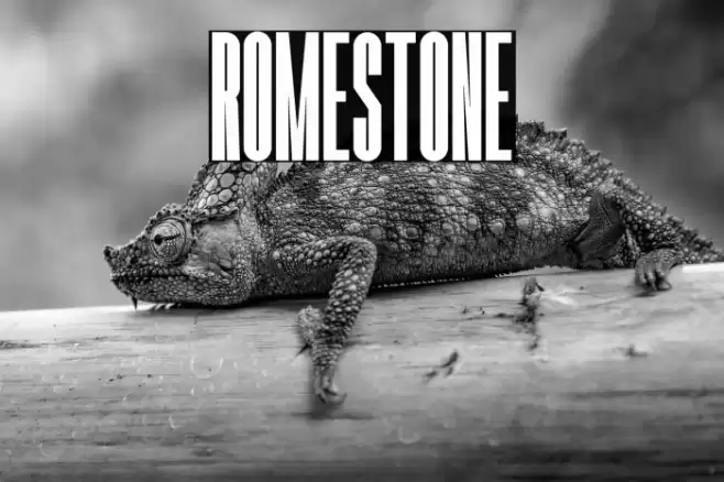 Romestone Font examples