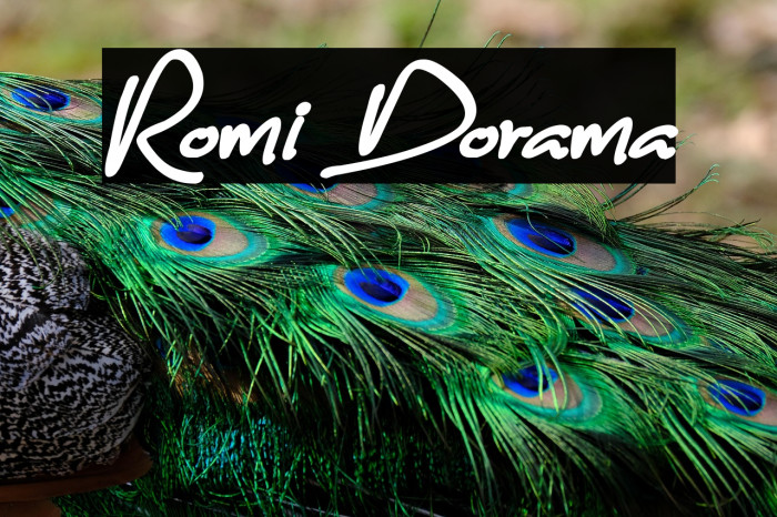 Romi Dorama Example 1