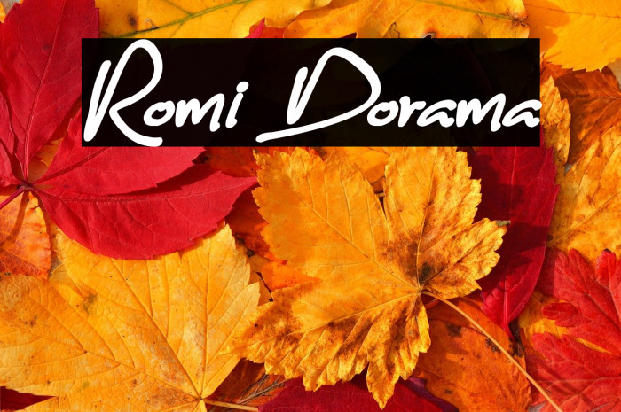 Romi Dorama Example 2