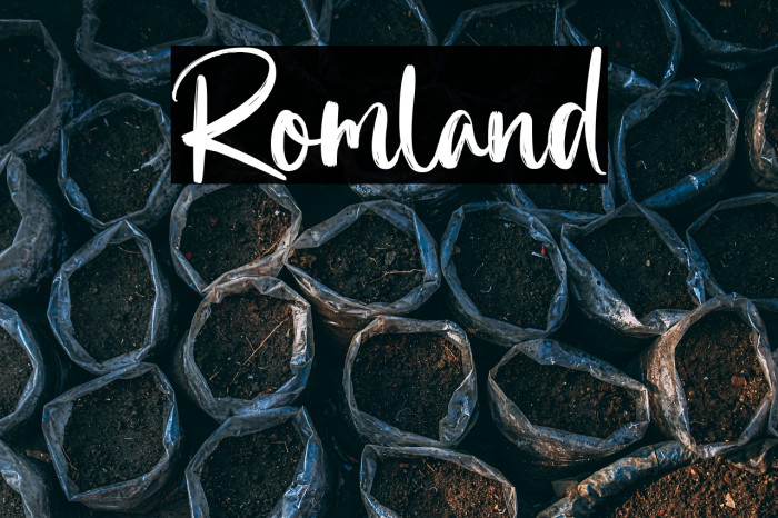 Romland Example 3