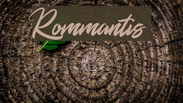 Rommantis फ़ॉन्ट examples