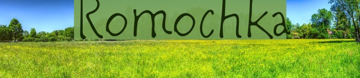 Romochka Font examples