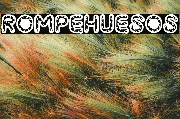 Rompehuesos Example 1