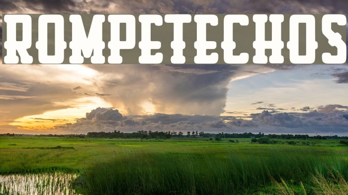 Rompetechos Font examples