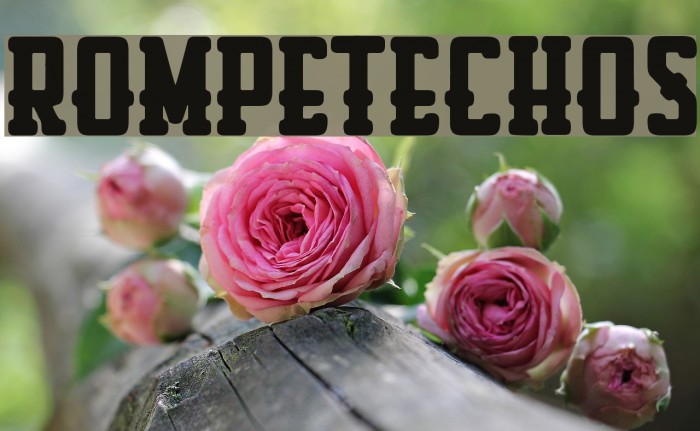 Rompetechos Font examples