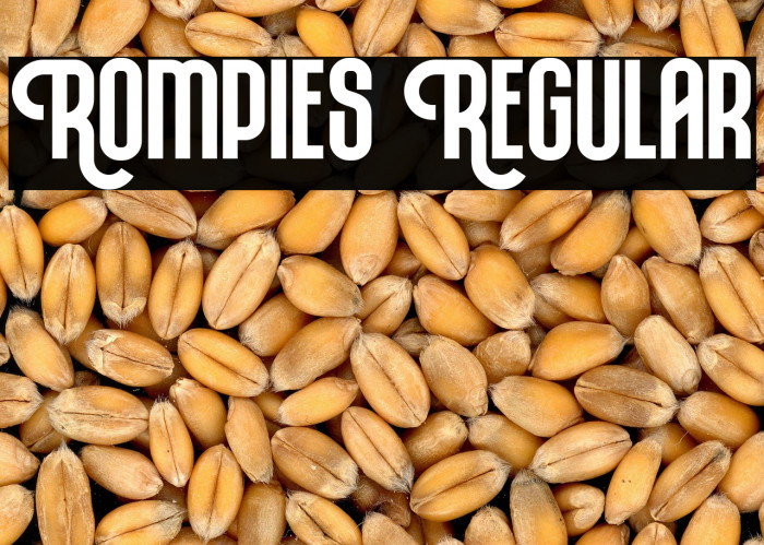 Rompies Regular Example 2