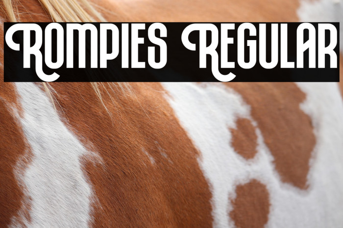 Rompies Regular Example 3