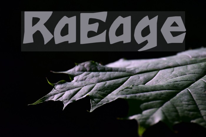 RomulanEagle Font examples