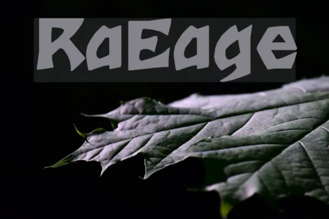 RomulanEagle Example 3