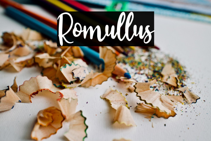 Romullus Example 2