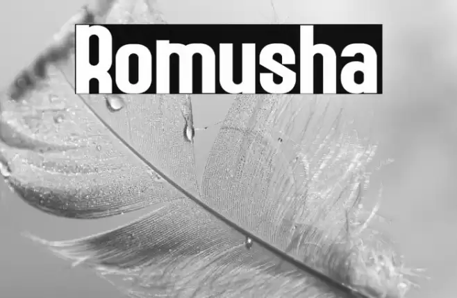 Romusha Font examples