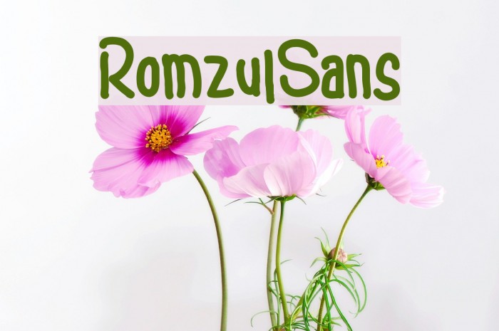 RomzulSans Example 2