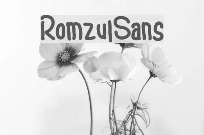 RomzulSans Font examples
