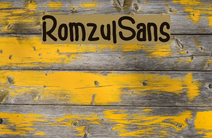 RomzulSans Example 3