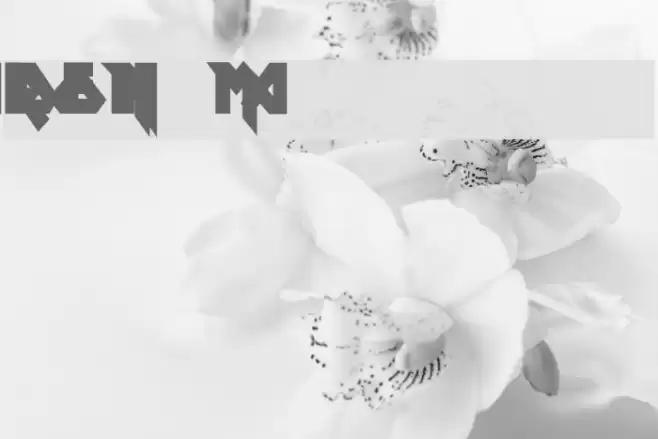 Ron Maiden Font examples