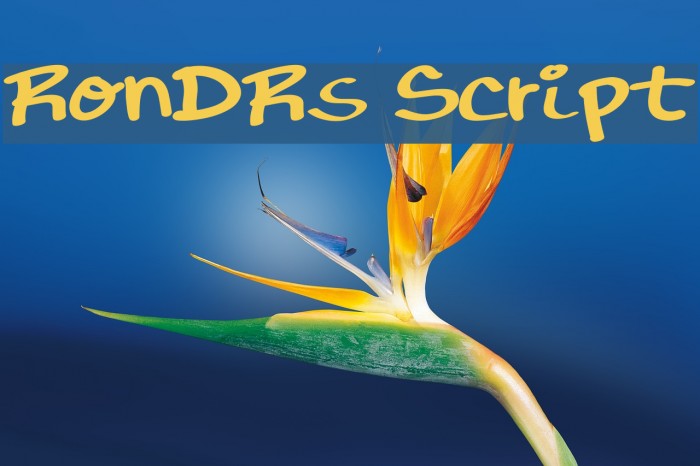 RonDRs Script Font examples