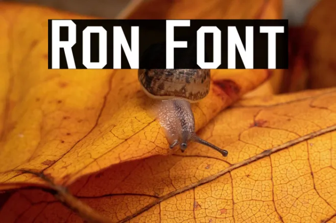 Ron Example 2