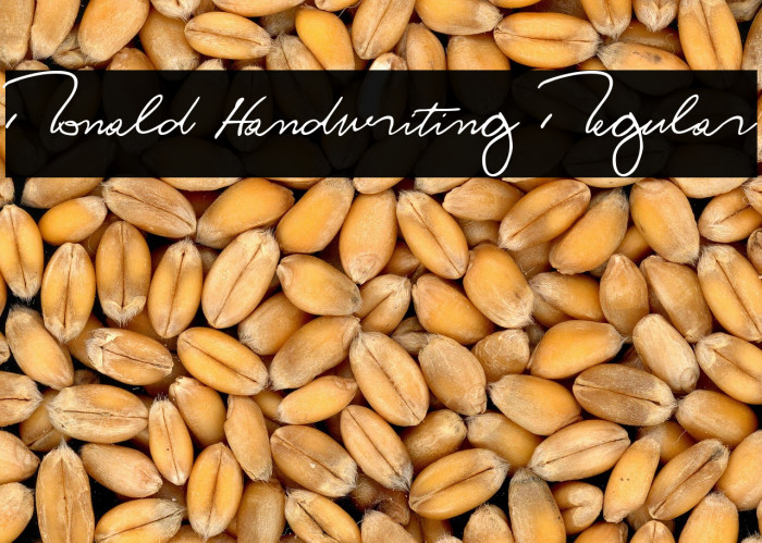 Ronald Handwriting Regular Example 3