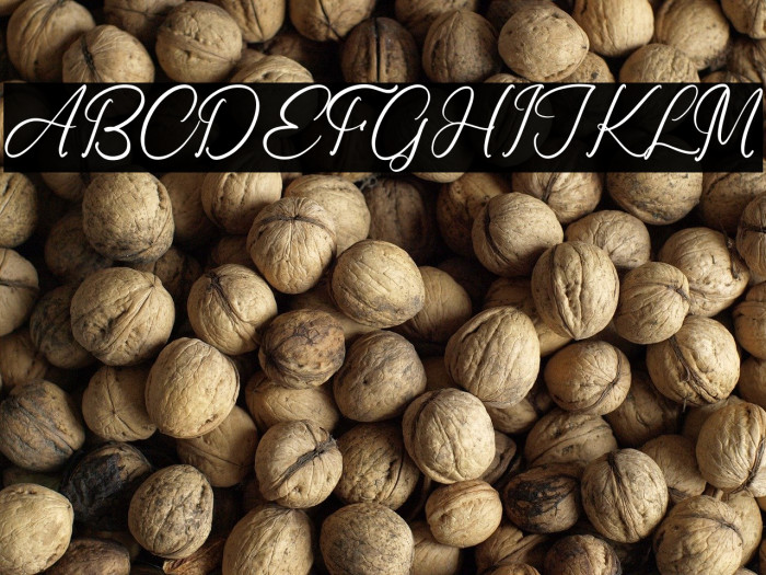 Ronald Mendoya Example 1