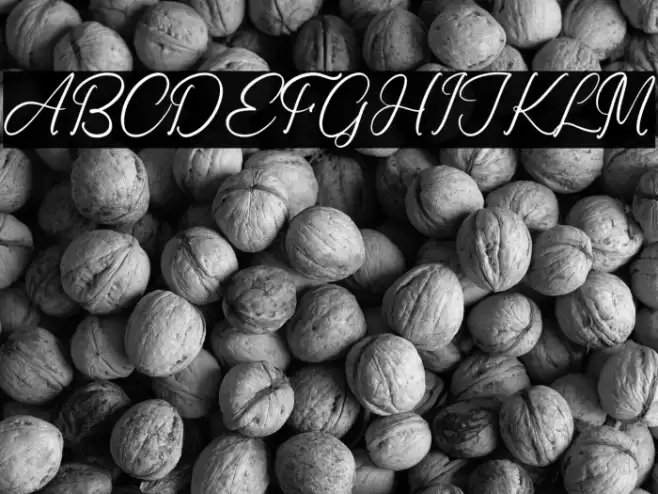 Ronald Mendoya 字体 examples