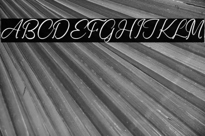 Ronald Mendoya 字体 examples