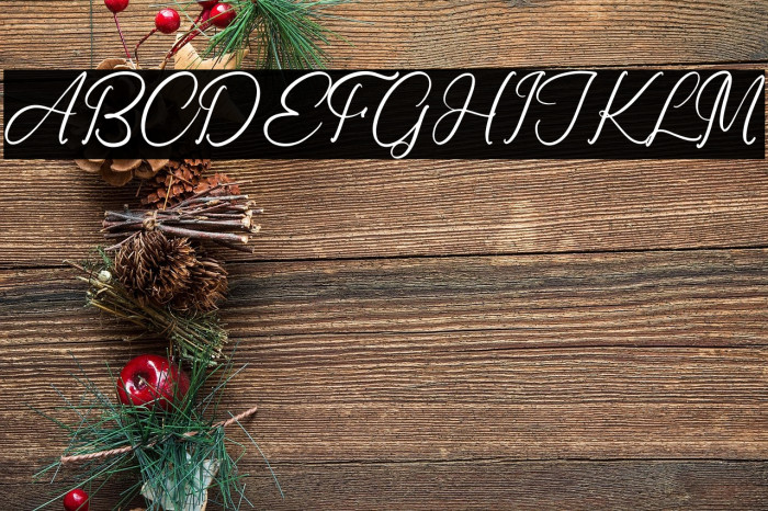 Ronald Mendoya Example 3