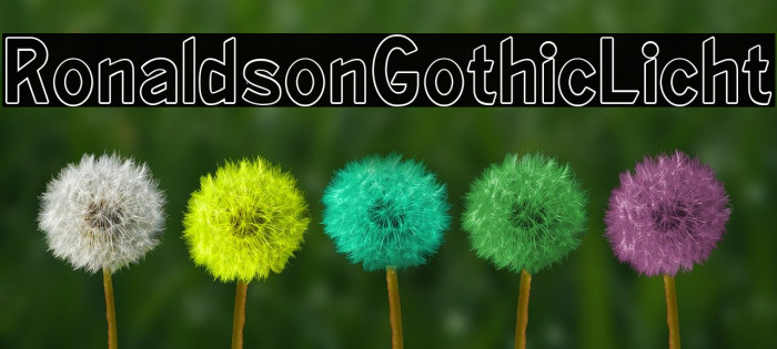 RonaldsonGothicLicht Font examples