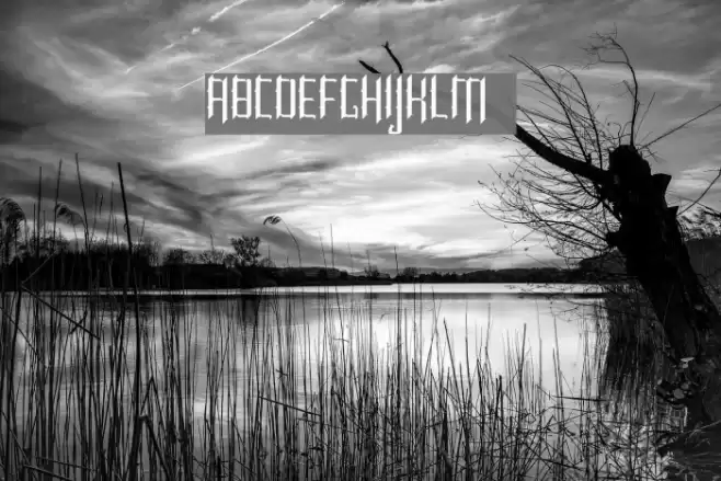 Roncial Regular Font examples