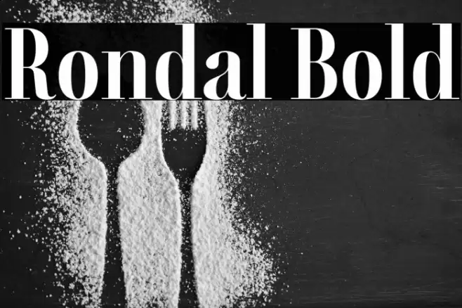 Rondal Bold Font examples